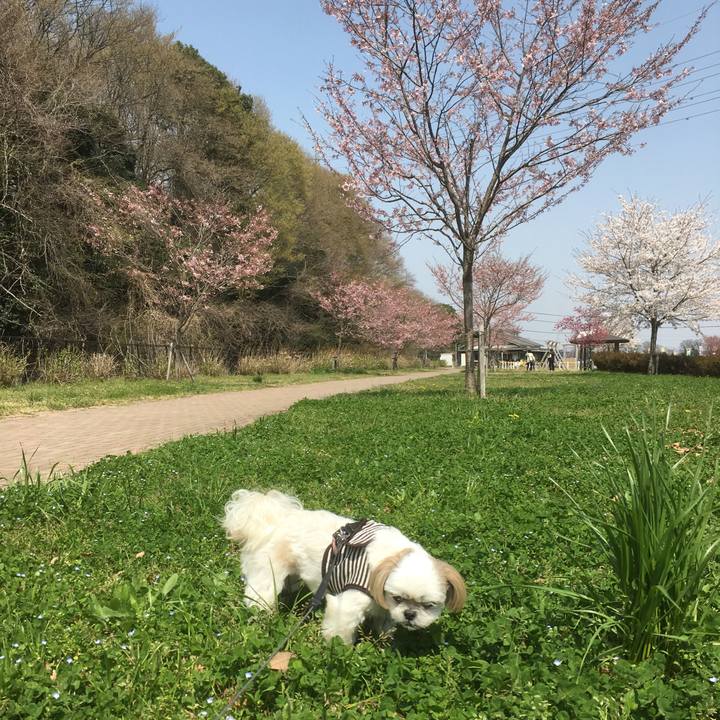 433a45ff 5268 4152 8628 f85fa791538e 1522554819711