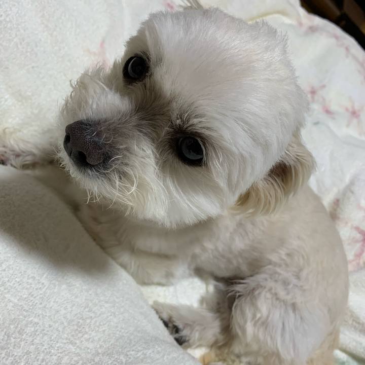 433a53f2 169f 4d63 93bb 66e63b390ec4 1649846436693