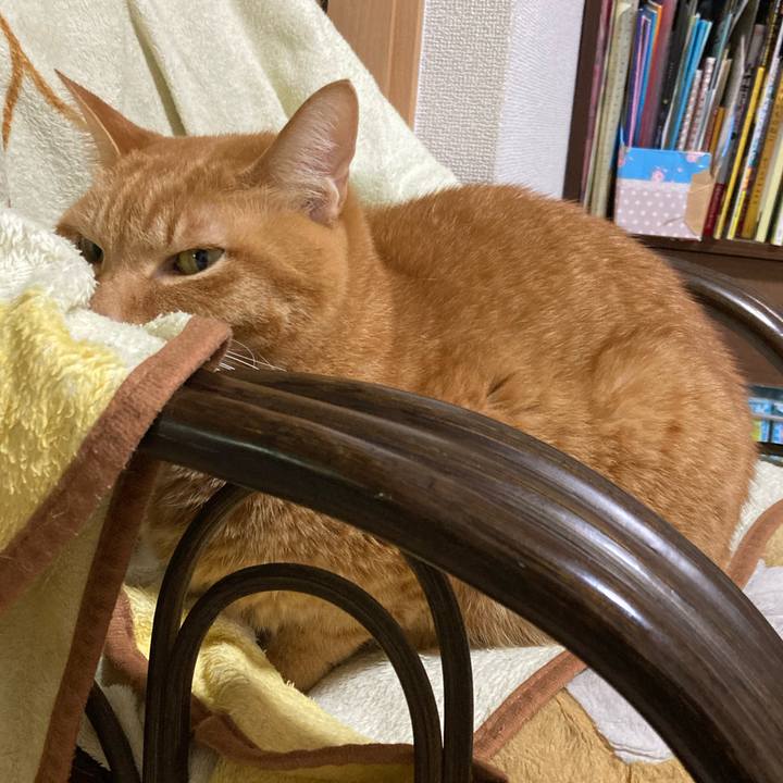 433a9da9 5dcb 4fc9 9387 cdcd0293071a 1770858412286