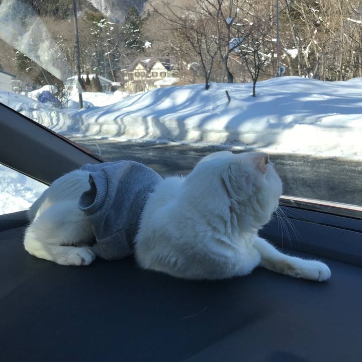 433b2f64 84fd 46d0 8b47 5753bf4d3d81 1515303979422