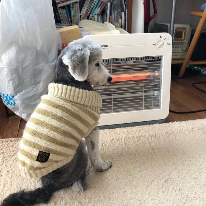 433b391f 52bd 4c61 b6d1 1c5c3d34f8e4 1702807475416