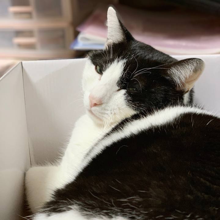 433b704a 1c56 4e3e 83ab 504a37837c64 1548901554302