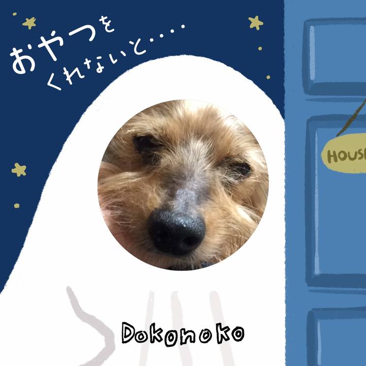 433bb81a e6b0 4330 88af 43ea2457fa9e 1729170397067