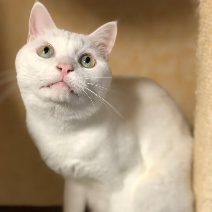 433bc763 0bcc 4ca6 b0f5 8f62c0b19169 1535457322095