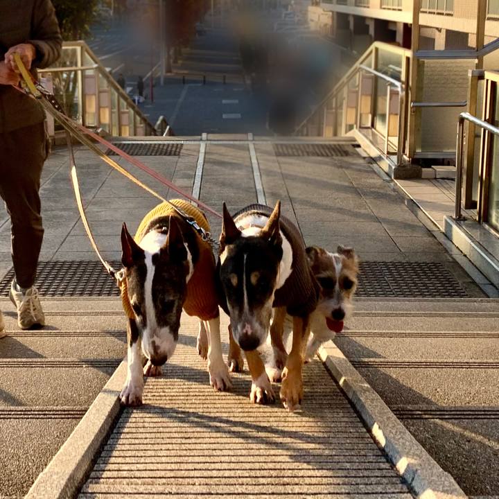 433bcd7a 09e0 46d5 9996 d35d02fd2b6c 1607250282070