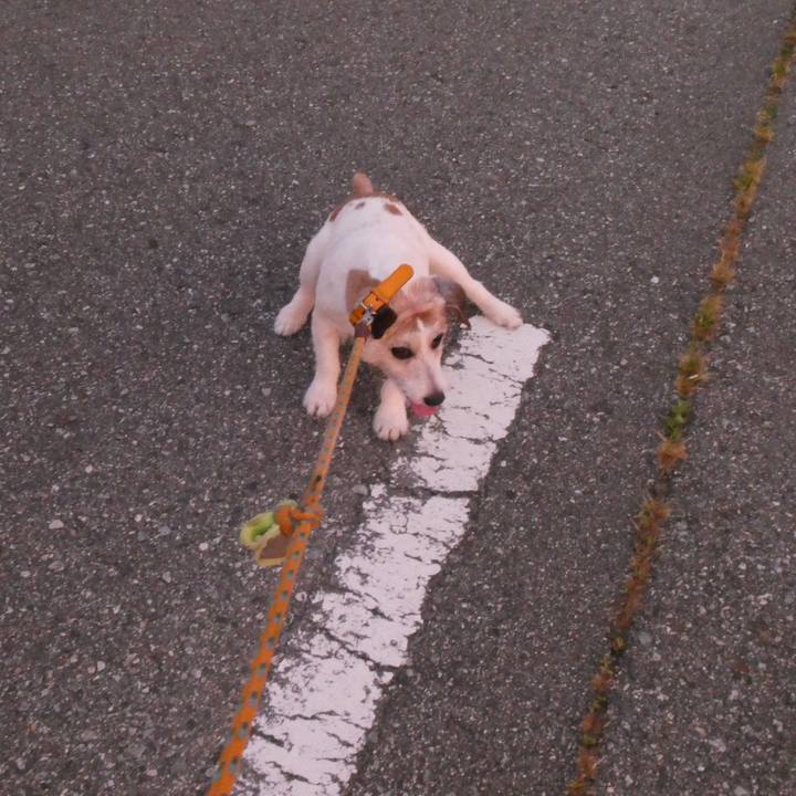 433bd58c 61e3 4434 b8d9 e084bc8252aa 1593684996064