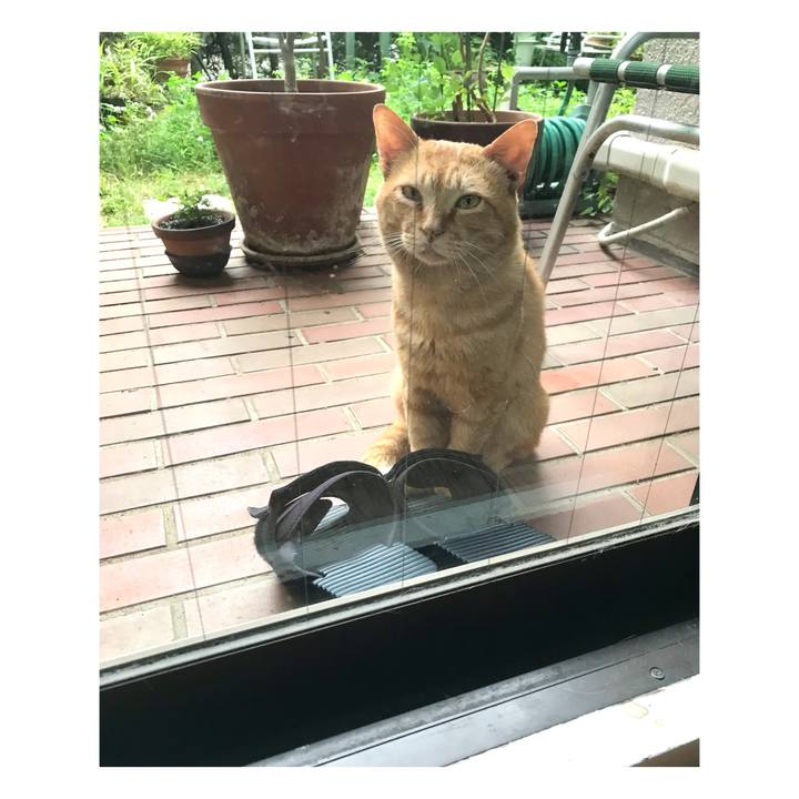 433bd619 d4ba 463a a78d 85d6530e8c11 1655684962482