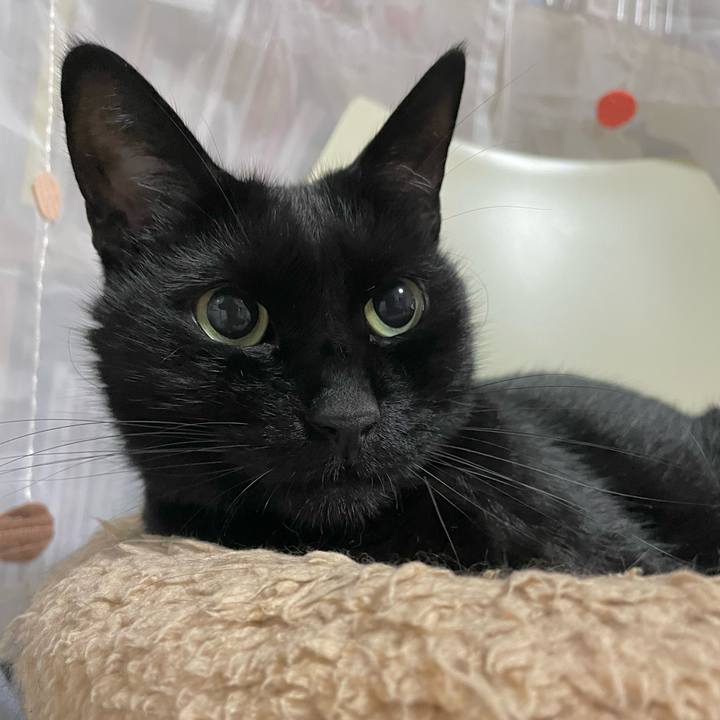 433be6ad b9d4 4385 a18d fdb4606d314a 1665671389381