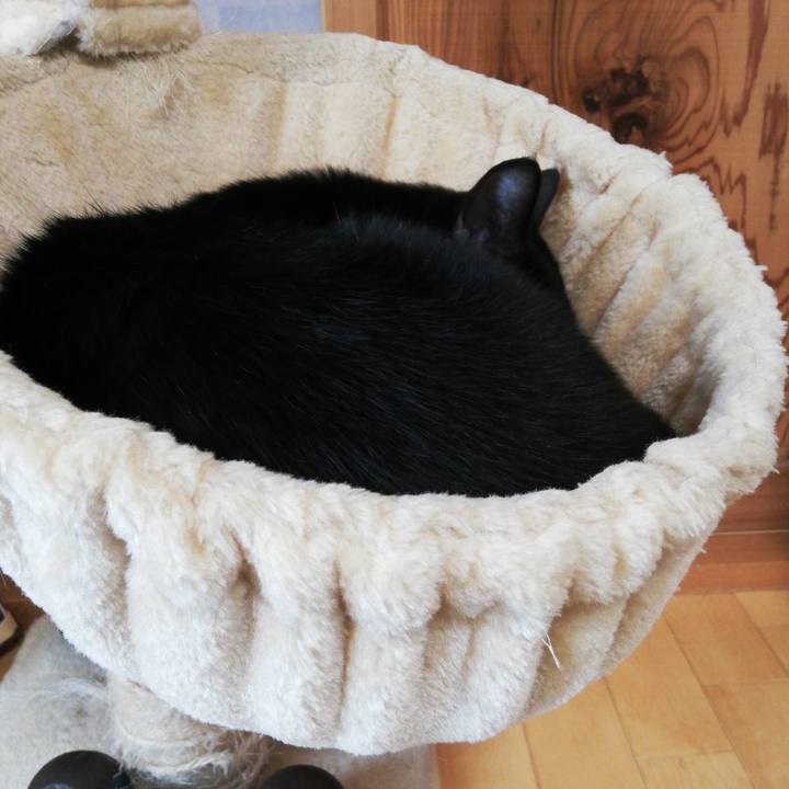 433befdf 64f8 4c6b a0cc 05df6d1faf4c 1618182311963