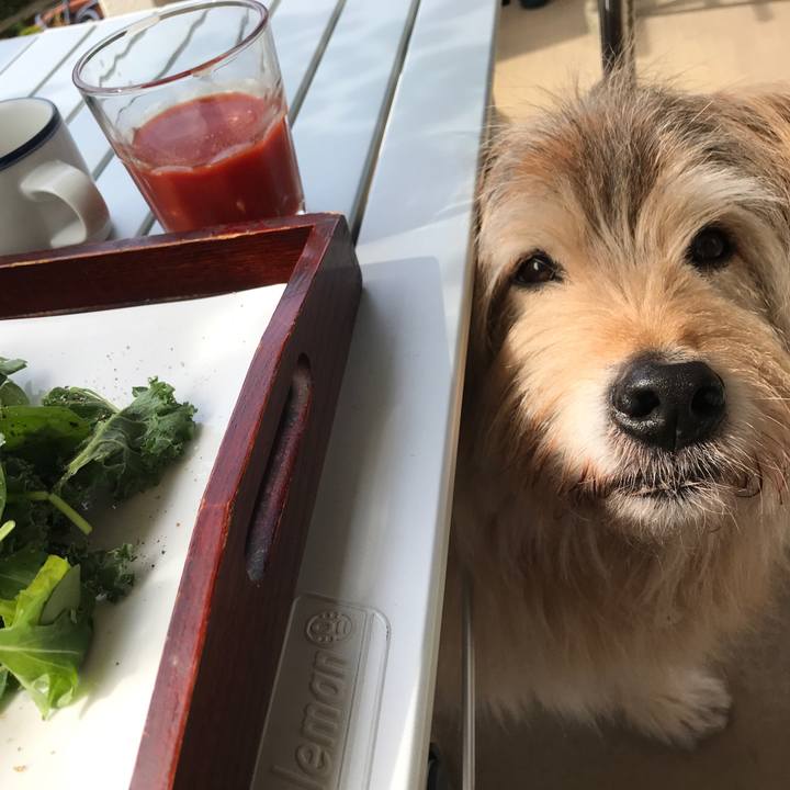 433c1171 8ec2 462d 8797 54346a305656 1649640611238