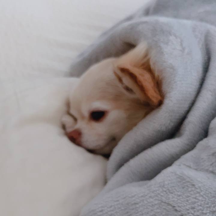 433c1473 03b9 4b0b b7ba 9ee3680a92f2 1765323877034