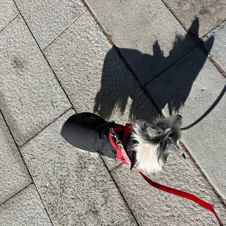 433c502c 9176 41f0 9890 71a40509d845 1674982070028