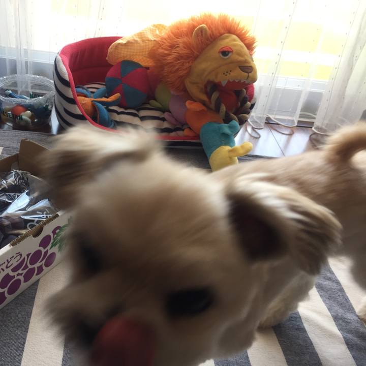 433c5c04 f024 457b 9bd9 cb60e9f00117 1535273072465