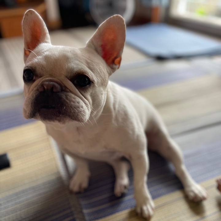 433c611f 208d 4a25 a7ab a7aba42bf005 1757890231643