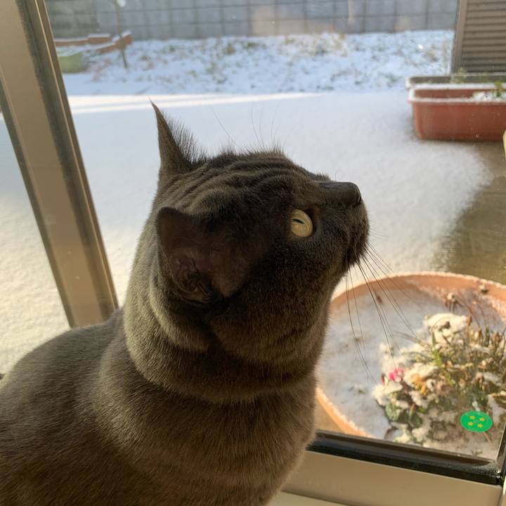 433ca94a a23e 445d 828a d58477ebc5ea 1573945513788