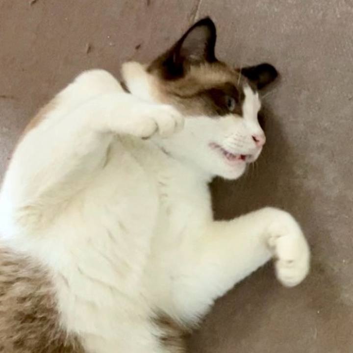 433ce96e 3714 46d6 9fc4 193094381265 1728536484042