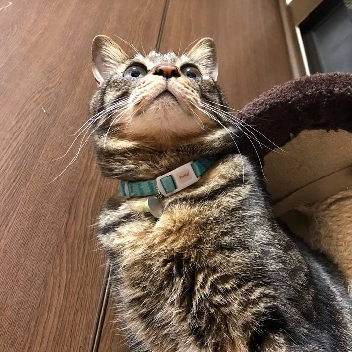 433d0361 d9f8 47a1 a461 a0588f3f8e13 1553521710483