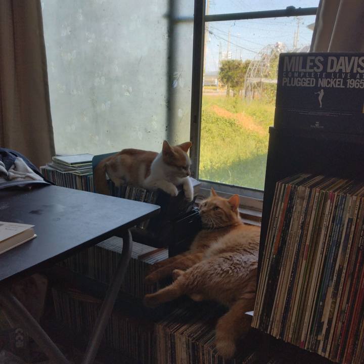 433d0791 e4d1 4dc9 bb9d 6ec8f392f04b 1725945270980