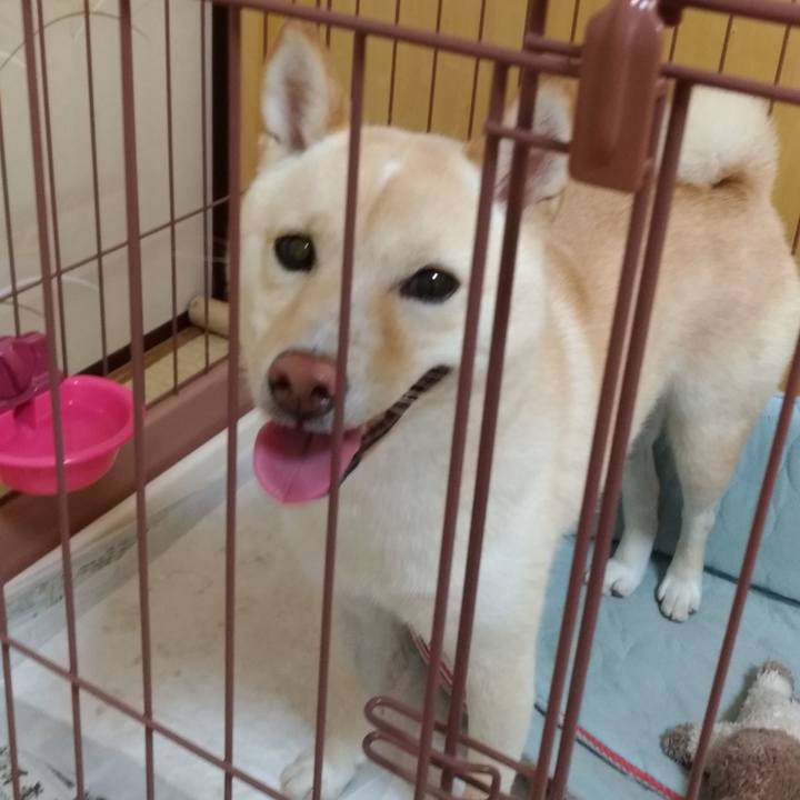 433d1048 01c3 4952 8636 8b27652139d4 1533864141580