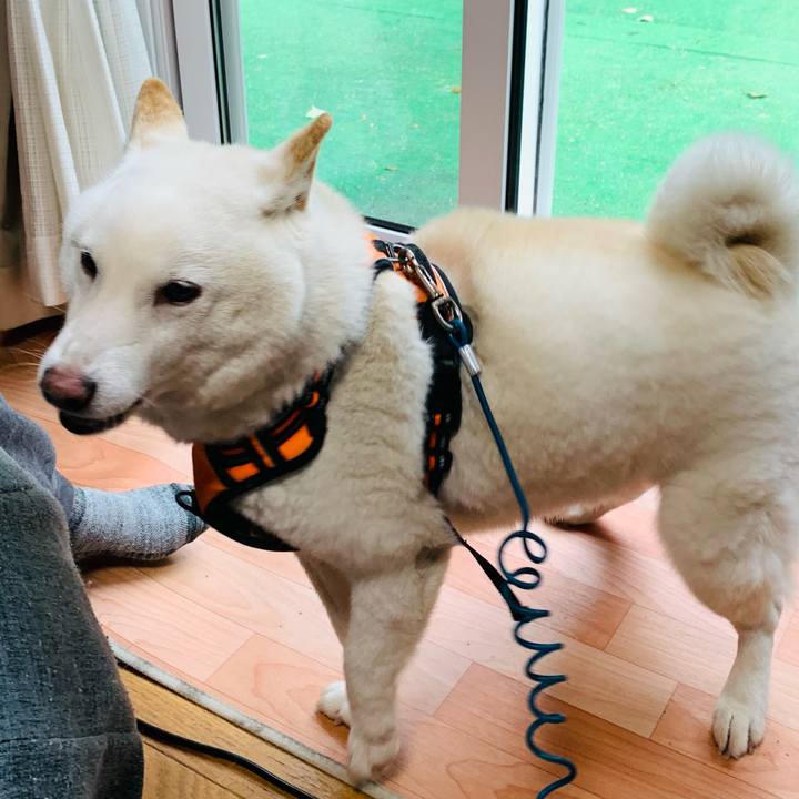 433d8396 bb3d 44d4 983e 868681ba9d37 1665405346481