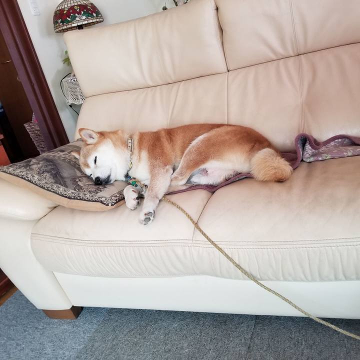 433d8c86 a498 49d5 aa18 a36d757035b3 1661738301026