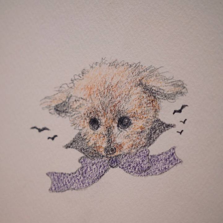 433da53e a00d 4f34 ae56 fb467b760fc6 1698677287743