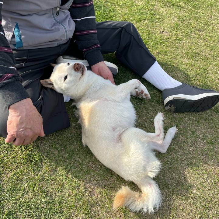 433ddeea abf9 4013 b364 818d089fed6a 1682132270735