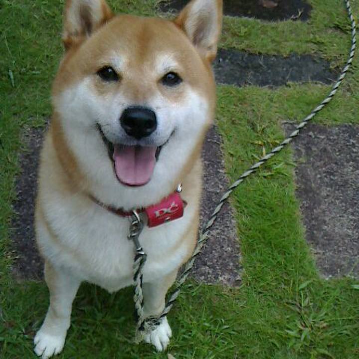 433dfc82 cdb6 43c8 aa3d 05f290b5e3cc 1507779777534