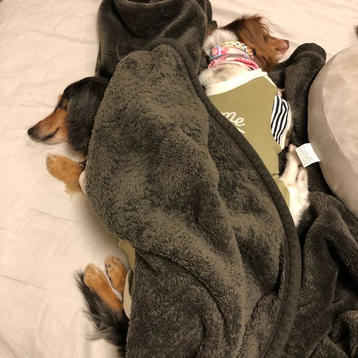 433e1fbb 05ab 40d4 9fcc a4fbdabe2c71 1551021065693