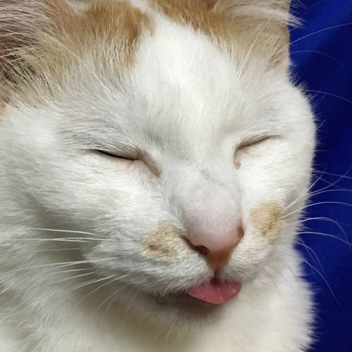 433e56c4 1b97 448b bfc3 50724475a3fa 1523788500835