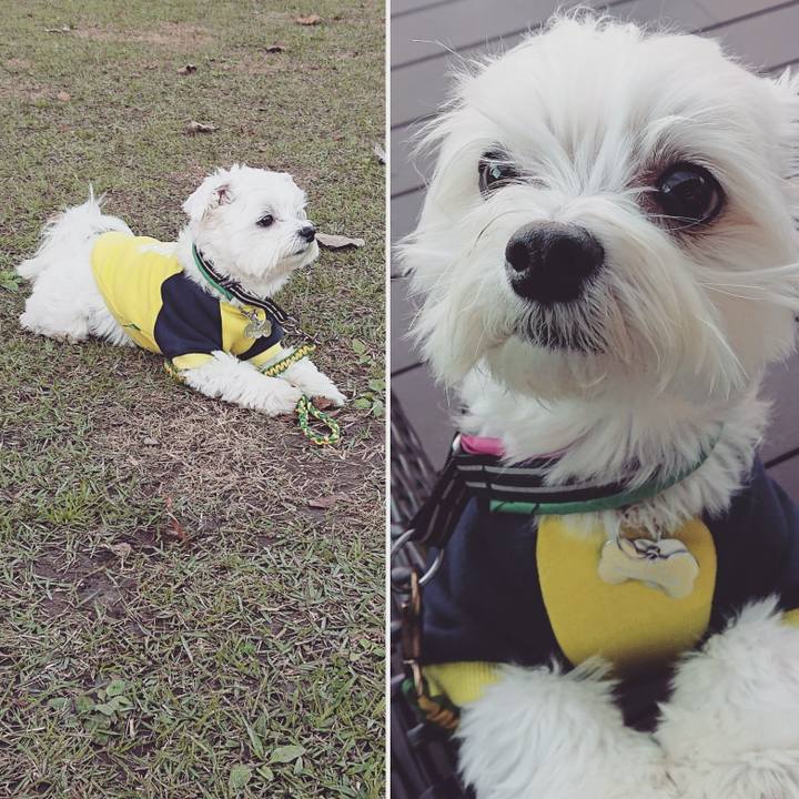 433e6dc0 c2cd 4fbf 93e4 0b5b8b5ae426 1542963774586