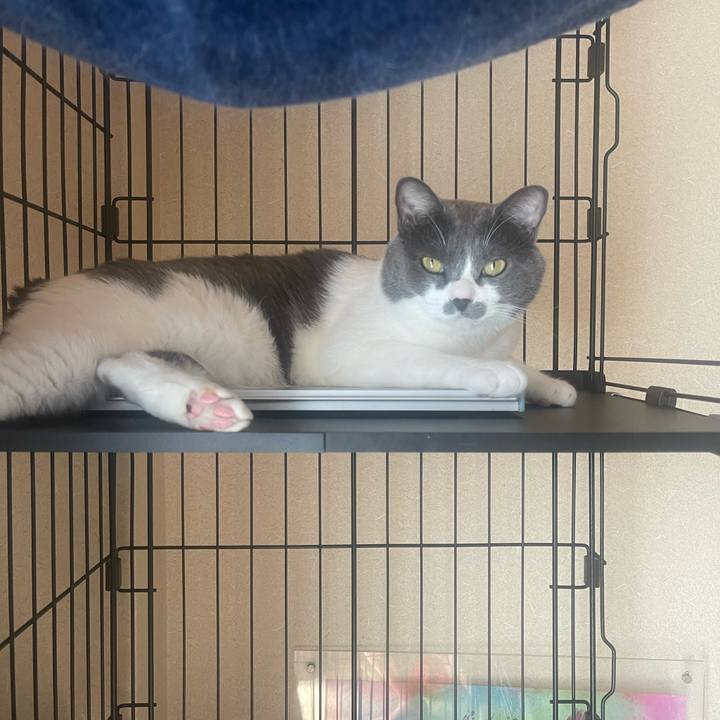 433ebd0f dea7 4a65 81e2 6372b0aa6f33 1694827893444