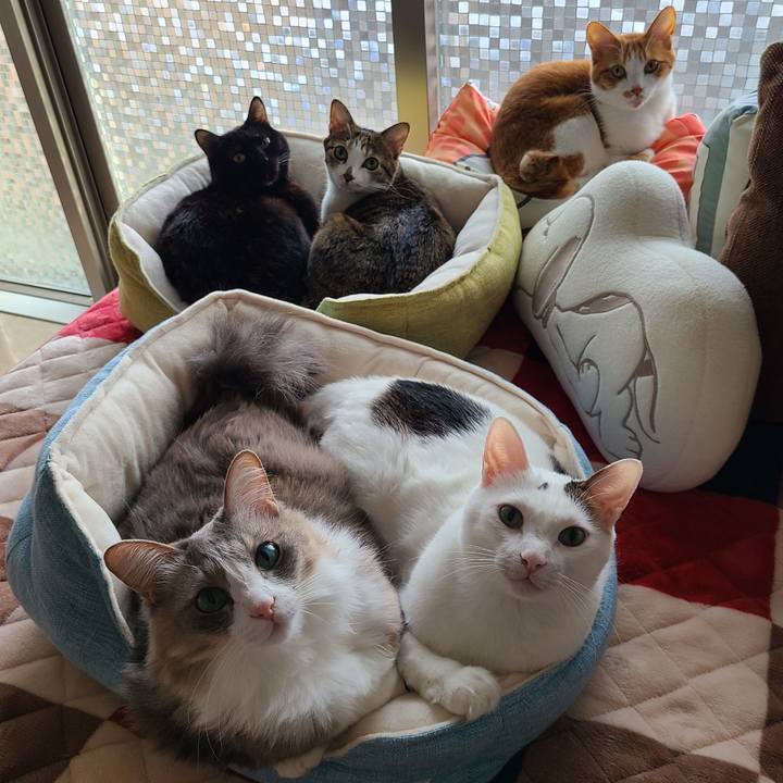 433f09ee 85ab 4234 a646 2c8800149451 1678260521859