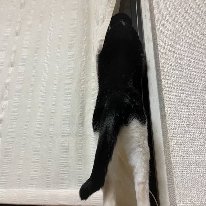 433f1e64 1cc3 4932 94d5 16538af41d58 1703417464090