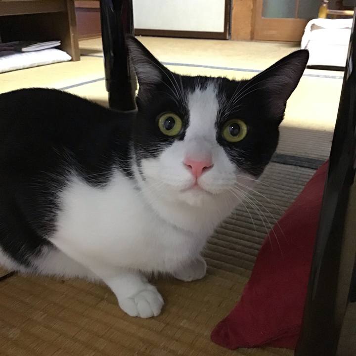 433f27b2 0c7f 46c8 8b74 6deb258b89a4 1657977563626