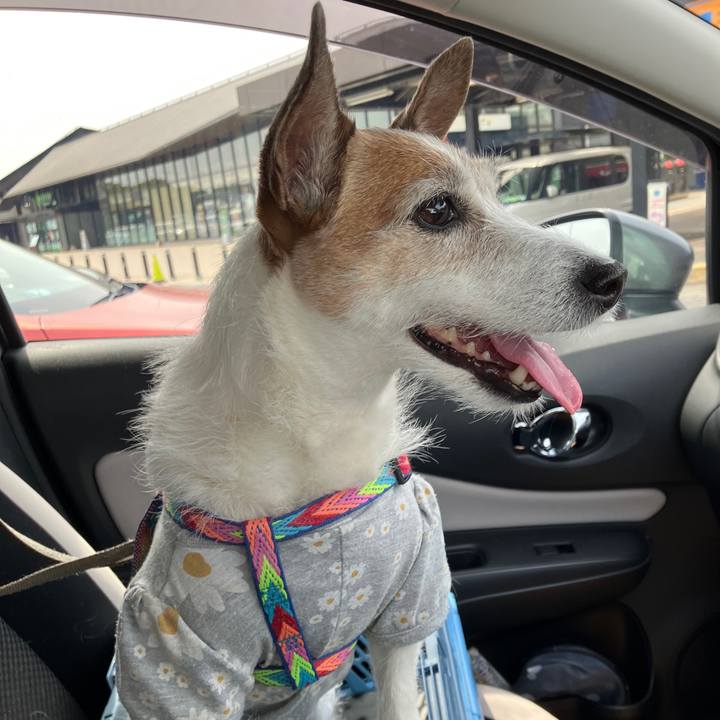 433f38d9 b6ef 4d12 aa92 6cee64b4854e 1744943164902