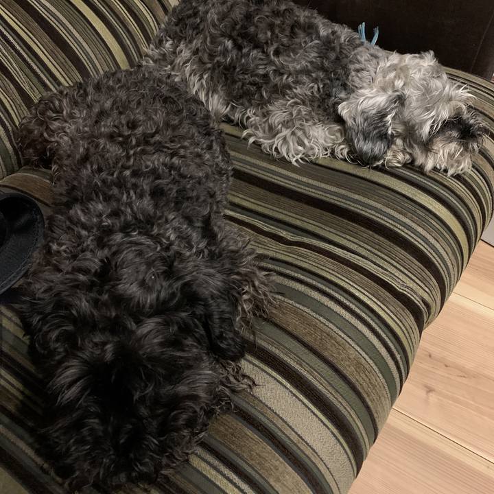 433f5315 59de 4529 b01b bb3aa17ff240 1591876032037