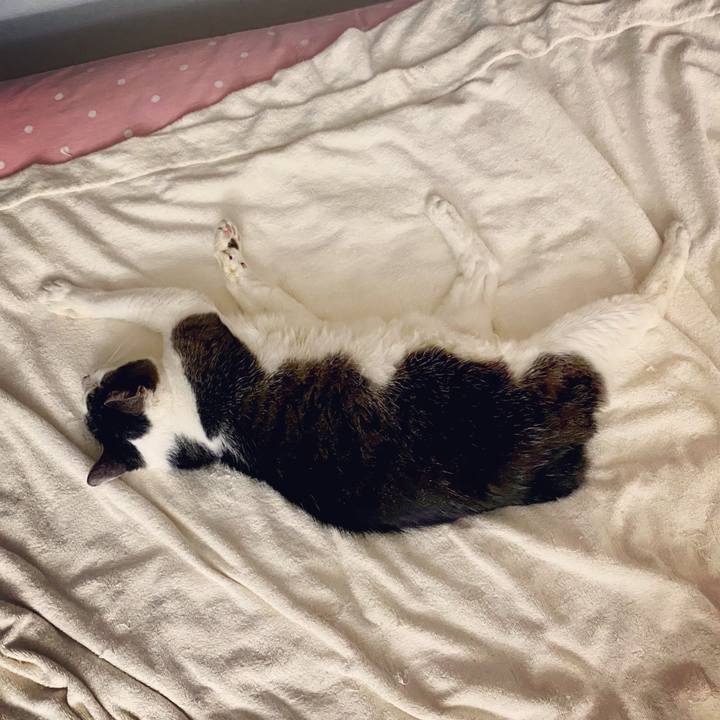 433f5322 b82d 4b73 9b23 ee8337bcab3b 1595848476607