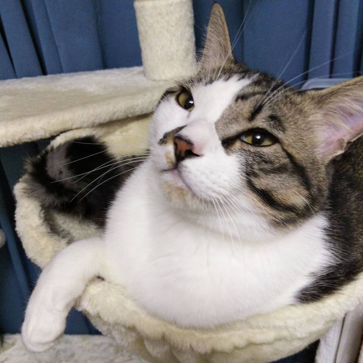 433f5e14 e659 4e9a 92ae e73ec8d24bd7 1643975421704