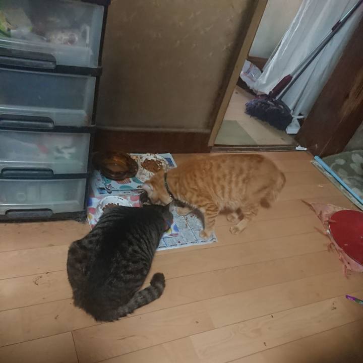 433f8144 37d3 4ea3 a041 31bf7eca1ae0 1660857255034