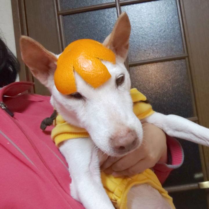 433fac8d e134 4b24 8540 ecba26e51754 1578139154636