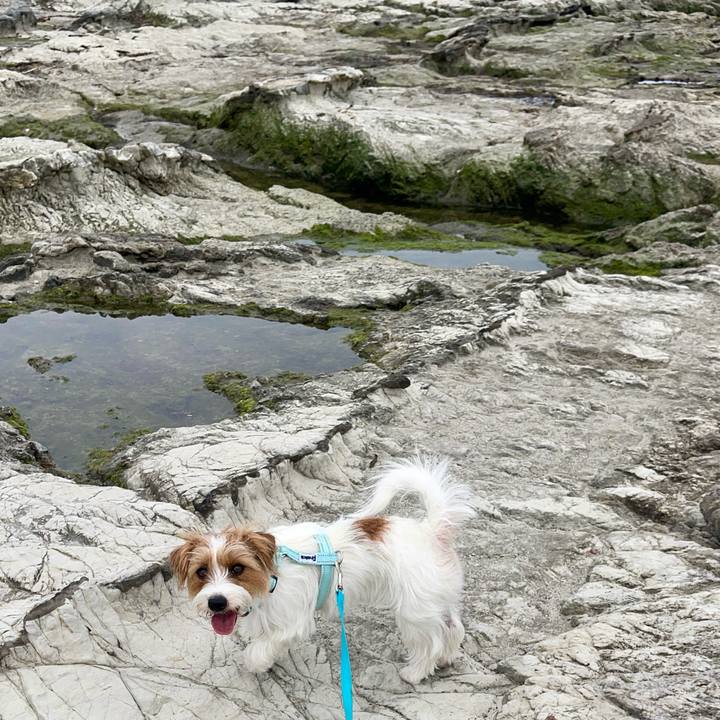 433ffe2c 7068 4585 ac74 5d40caa13f1b 1776086923041