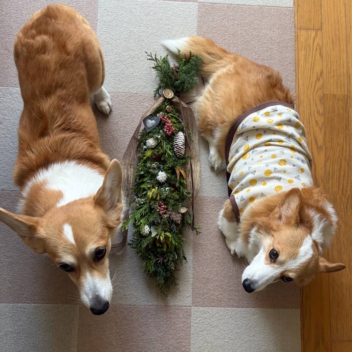 43401c16 601b 4b70 b0e1 97a7b0e4119e 1763967557181