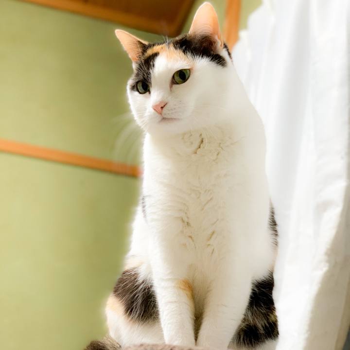 43402730 7d9a 46c5 9c98 6973c0445936 1589077213982