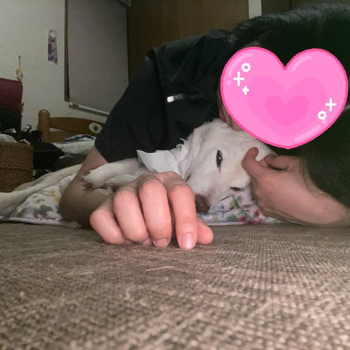 434033d6 6fcb 4306 88ab 3e25176ecc79 1665785407985