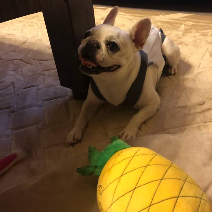 43404279 55dc 4c3d a83a fd57b00a40b9 1565698785143