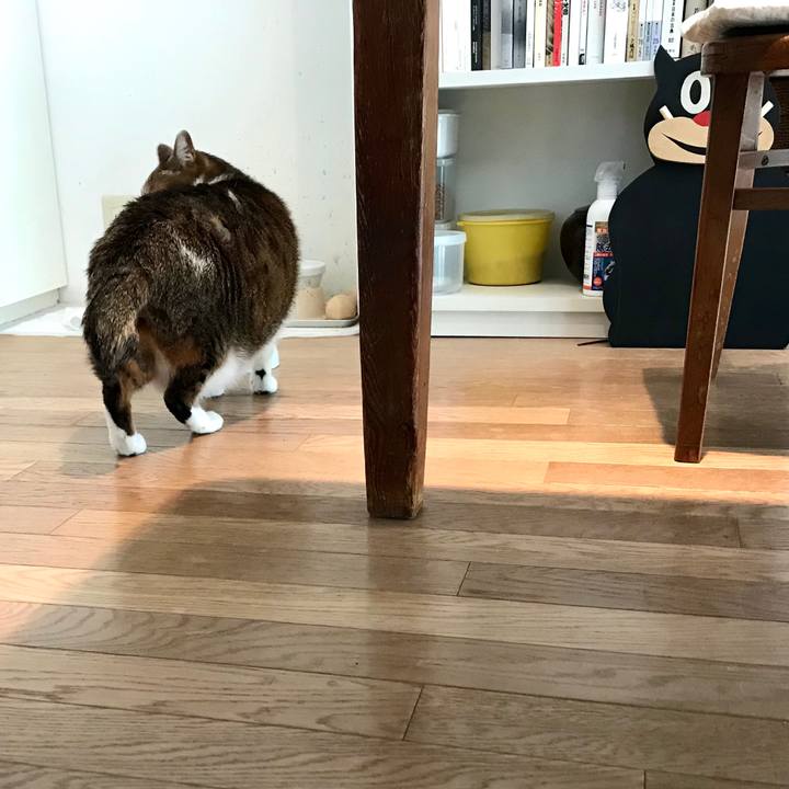 4340ac1d 58ca 4fd6 a4c1 9ef80350339f 1587439737874