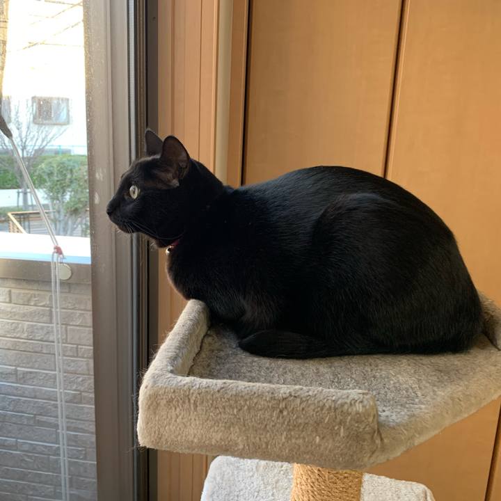 4340b6a0 eb2b 471b 99d1 ad6decd41733 1577486926020