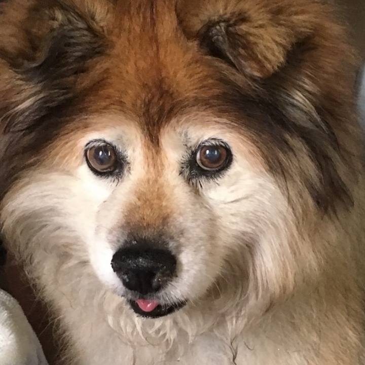 4340d61a 3bb3 4e13 8aa1 8543c2326637 1601751718902