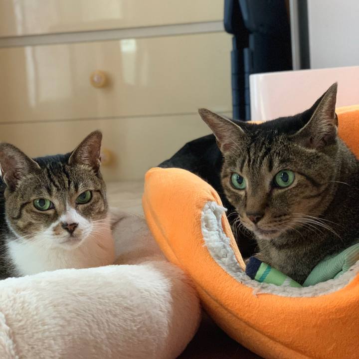 4340db9b 8be2 463c af00 097378dbed9d 1570584313926